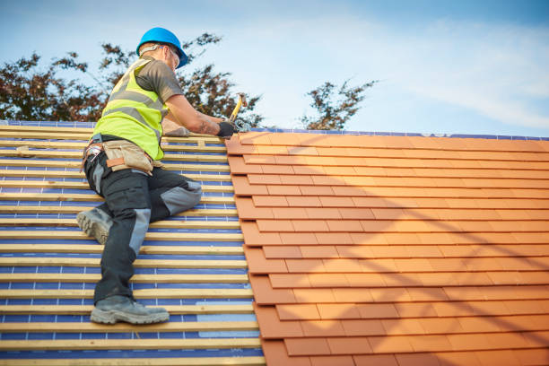 Best Steel Roofing  in Sierra Ridge, CO
